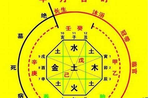 生晨八字|生辰八字算命、五行喜用神查询（免费测算）